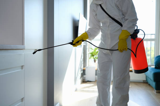 Best Office Mold Removal Services  in Prospect, OH