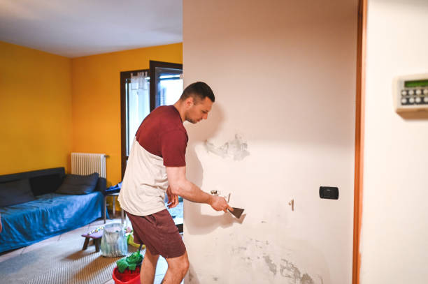 Reliable Prospect, OH Mold Removal Solutions