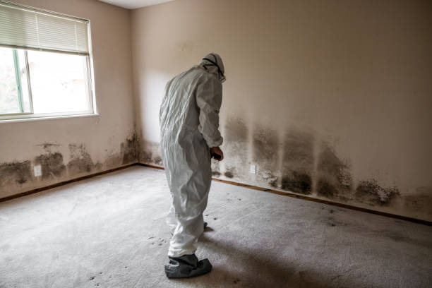 Best Mold Testing  in Prospect, OH